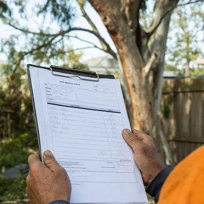 Reading a written tree removal quote on site in Geelong