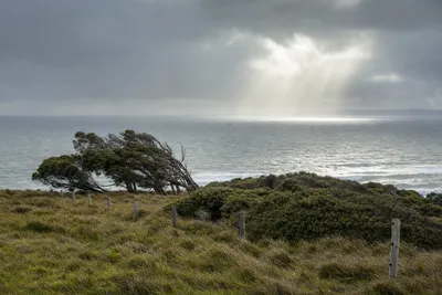 Coastal and storm exposure, Geelong