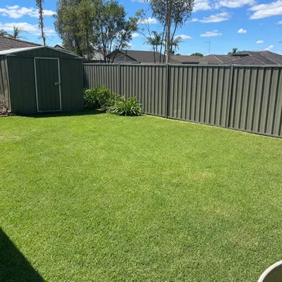 After: Storm damaged limb cleanup, Geelong