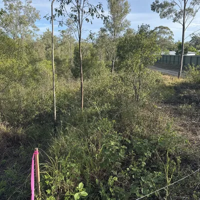 Before: Land clearing for a building permit, Geelong