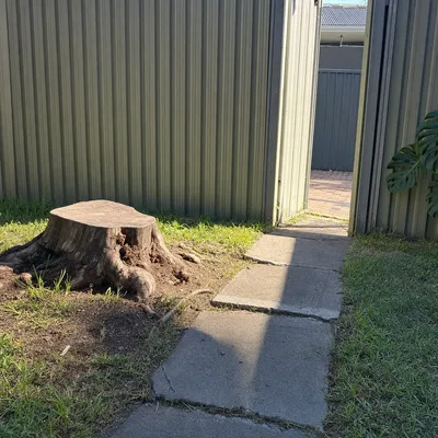 Before: Hazardous stump grind, tight backyard access, Geelong