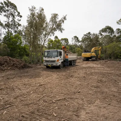 Land Clearing job in Geelong by qualified local arborists