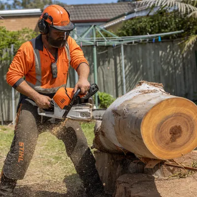 Tree Removal services in Geelong by local qualified arborists