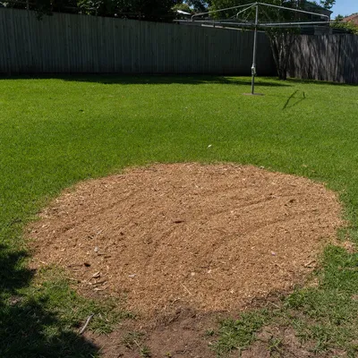 Chips and mulch on site, Geelong