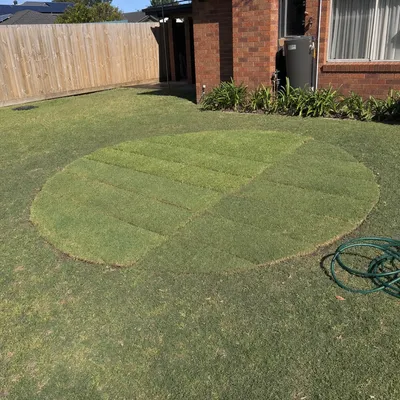 Stump ground 150–300mm below grade, Geelong
